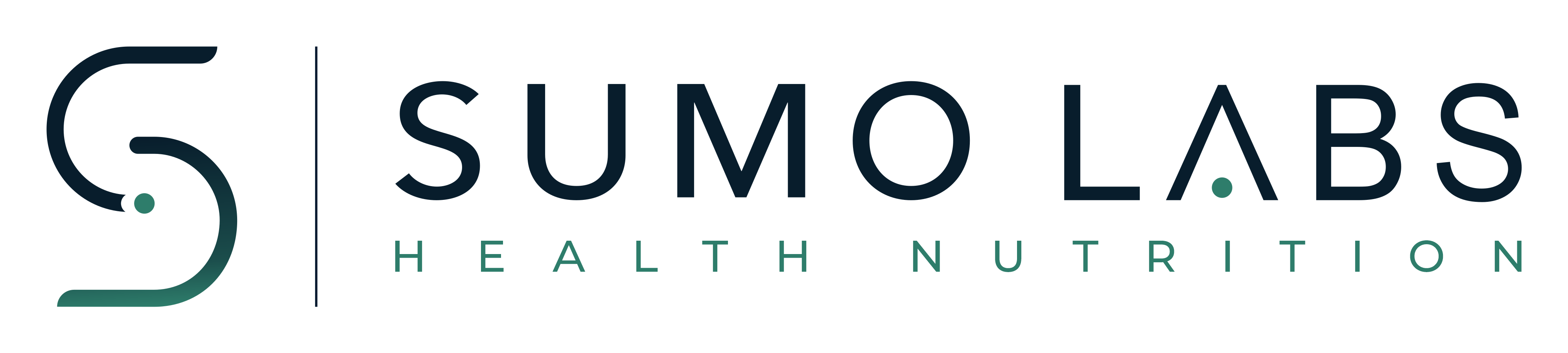 Sumo Labs